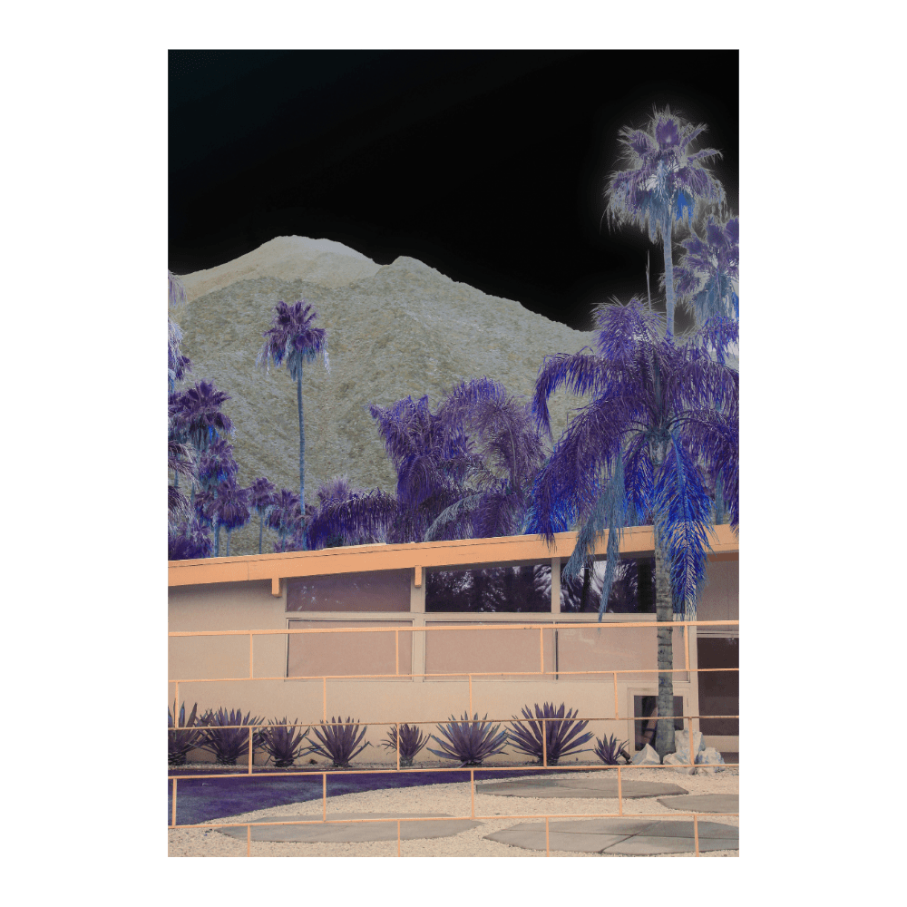 Moon Light