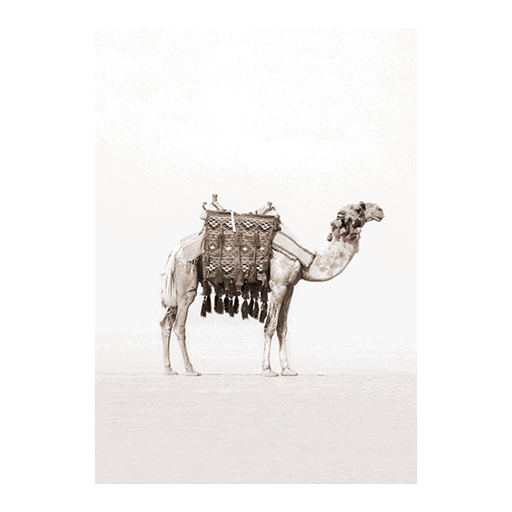 Morocco Scenic Set I