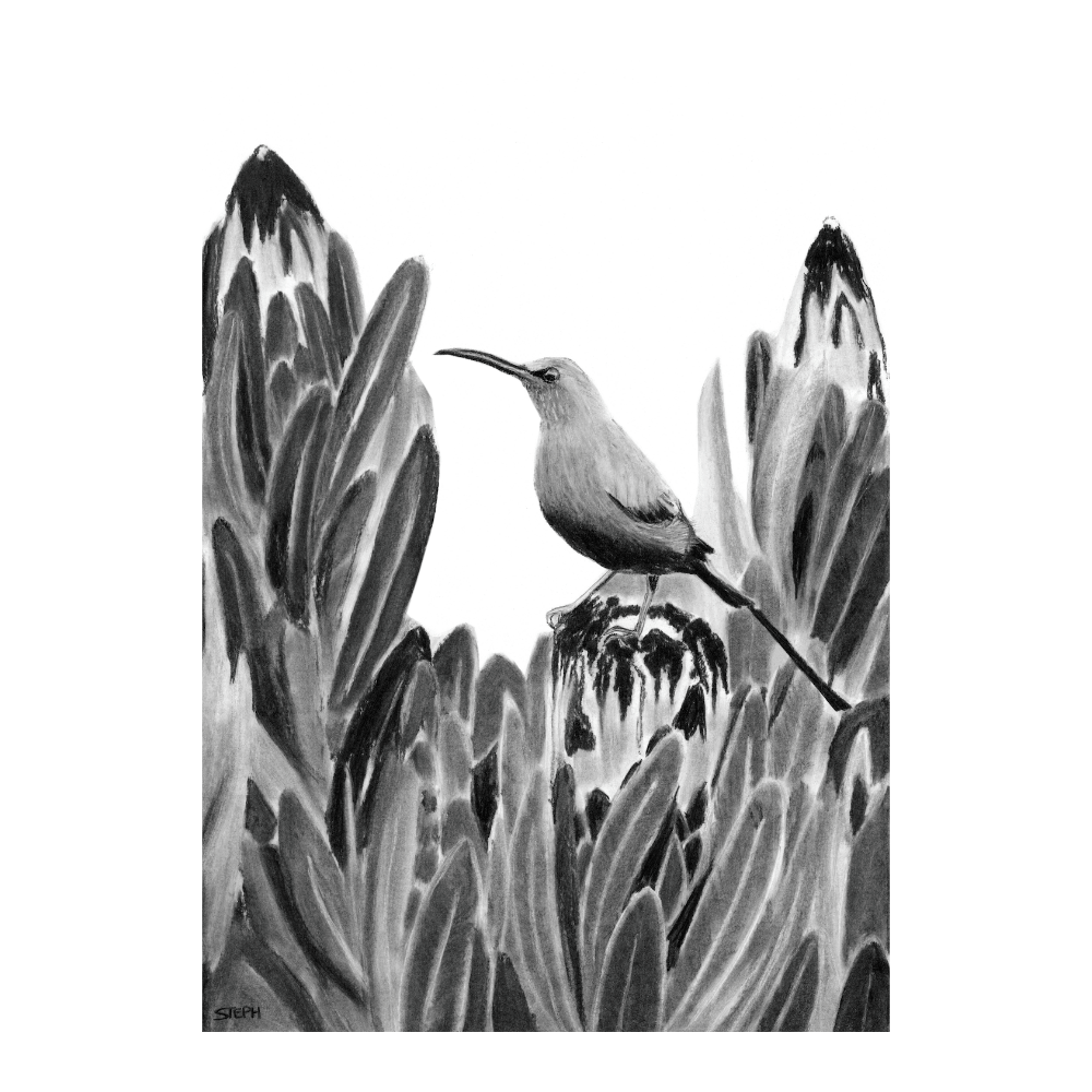 Mother Sunbird