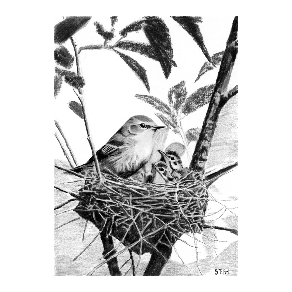Mother's Nest