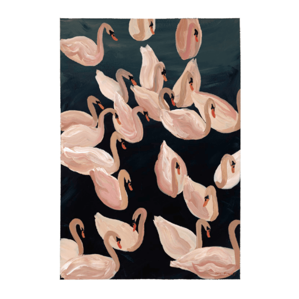 ‍Serene Swans (100% off)