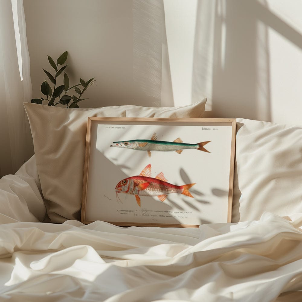 Poissons III