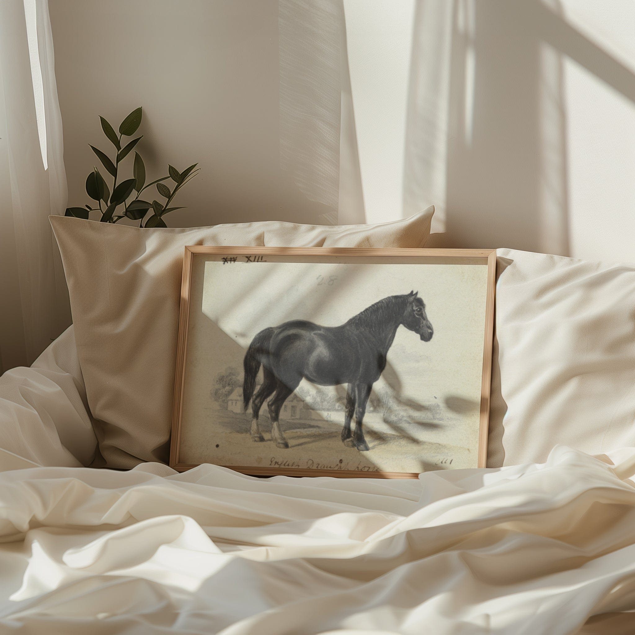 English Draught Horse (1837)