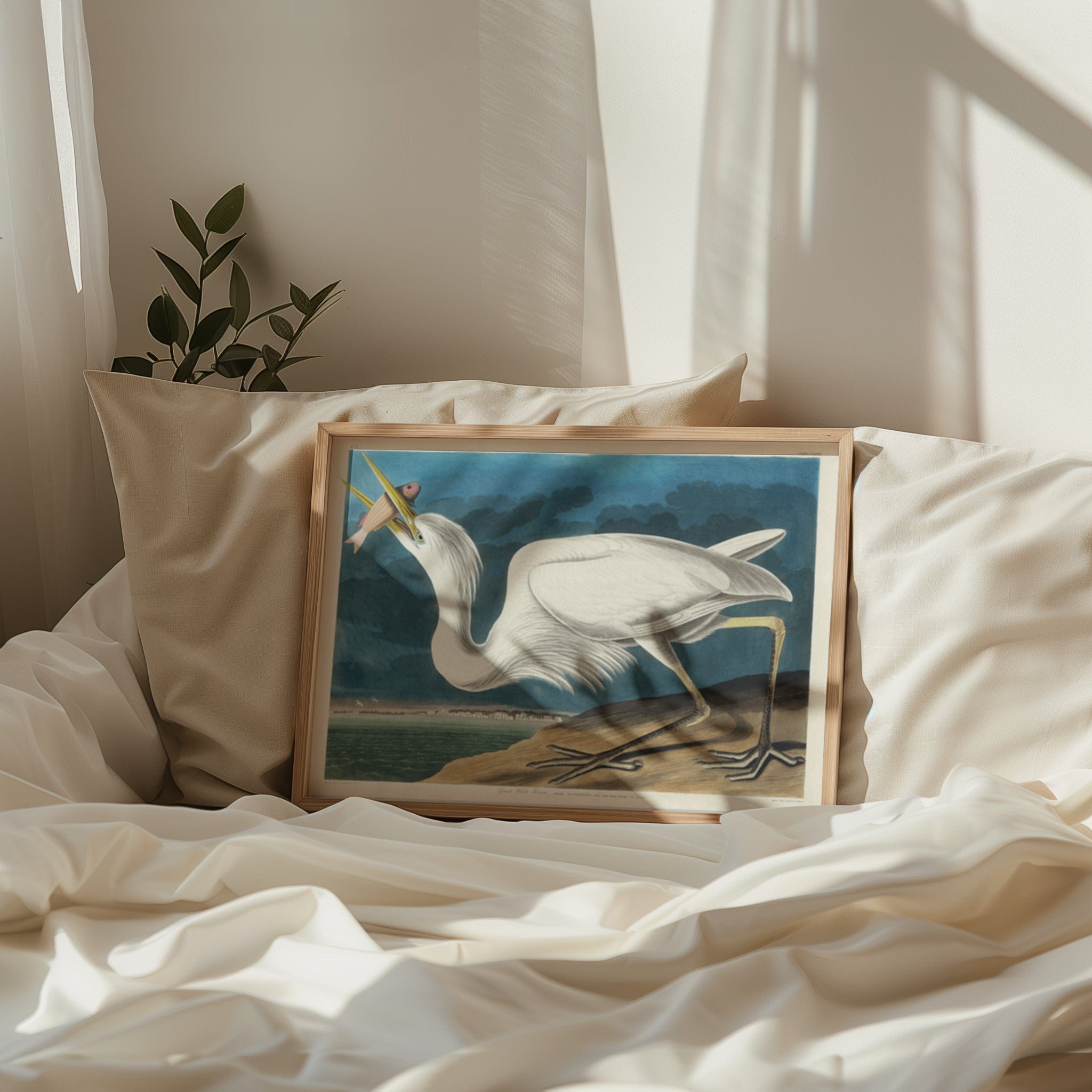 John James Audubon: "Great White Heron"