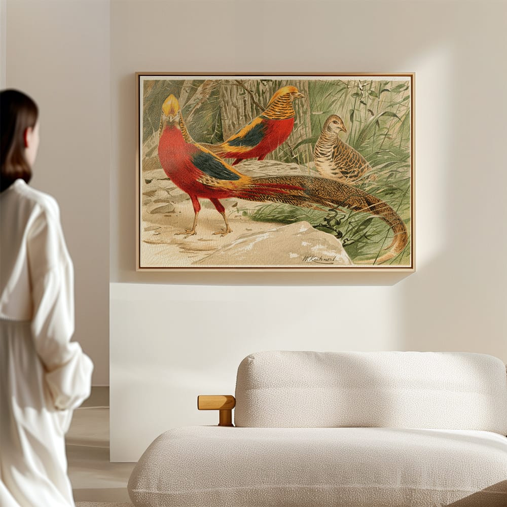 Golden Pheasants