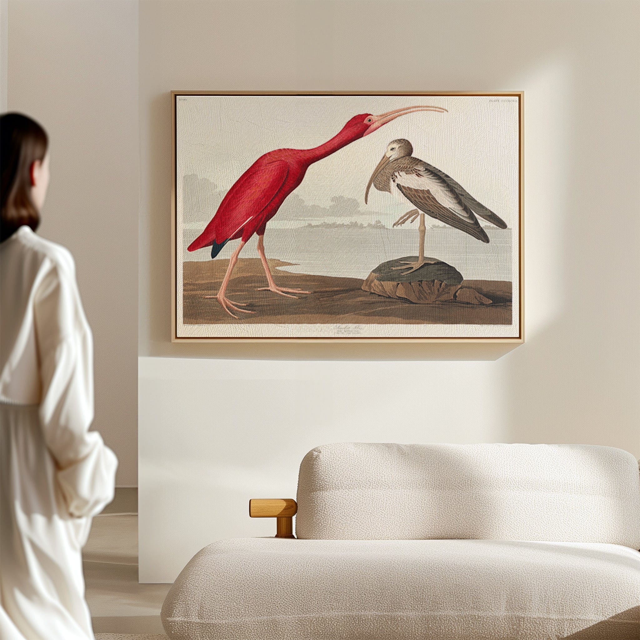 Audubon Iris Birds