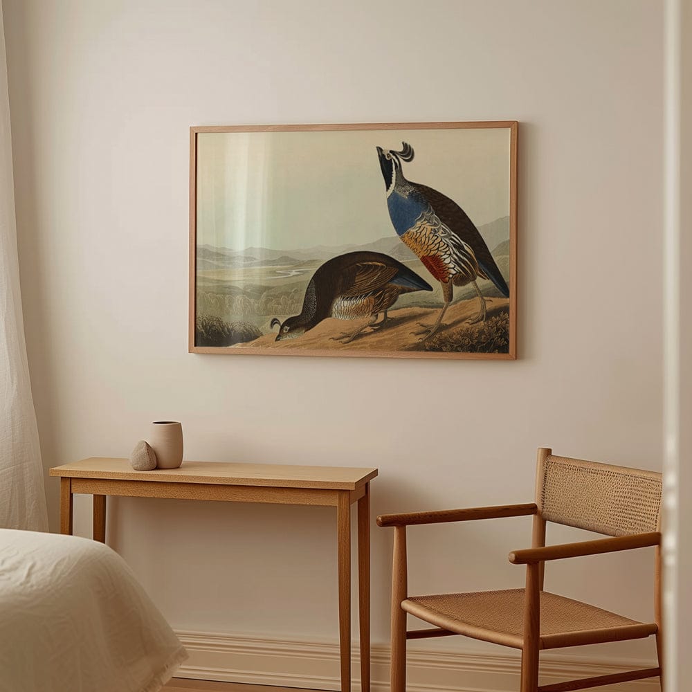 Audubon Quail