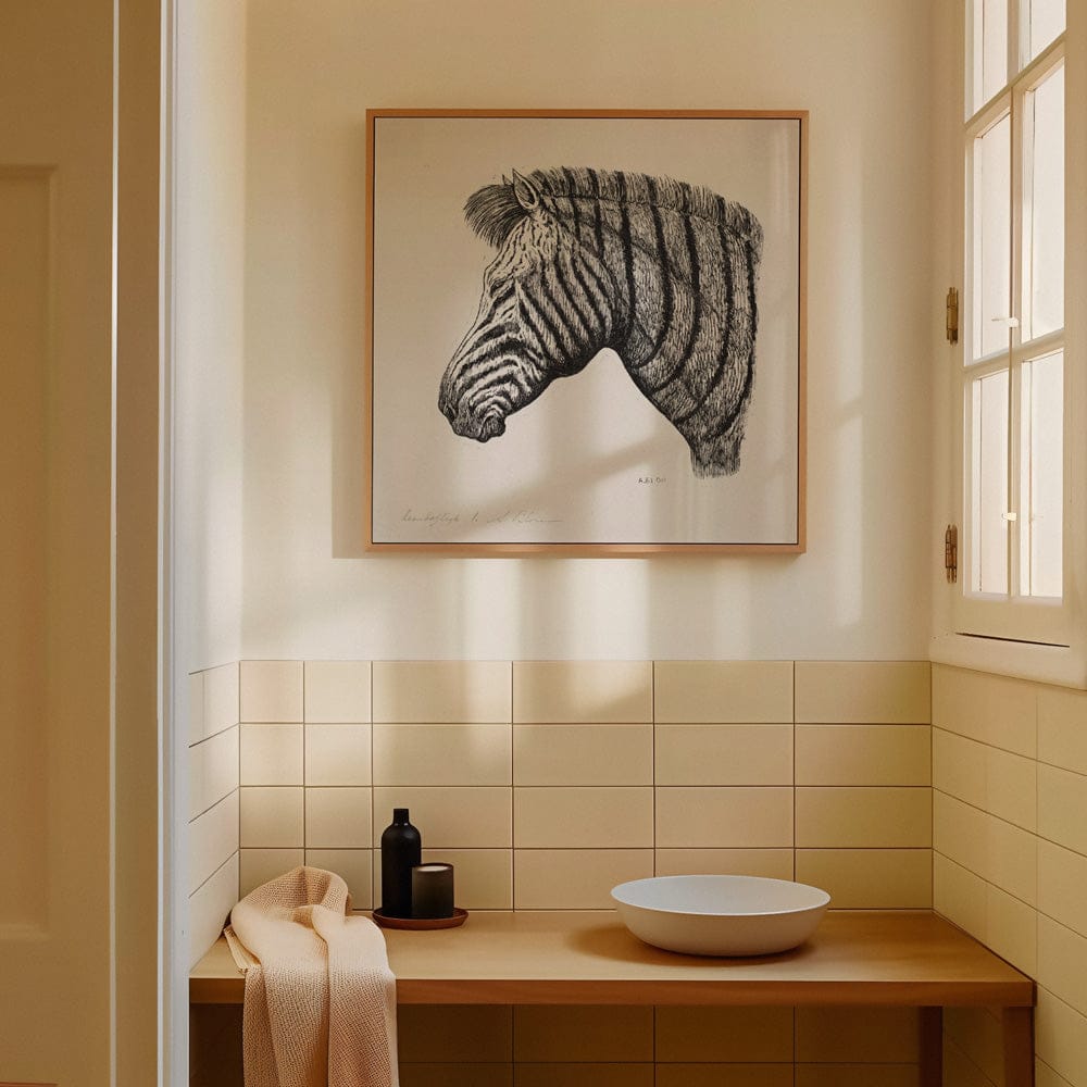 Hoved Af En Zebra