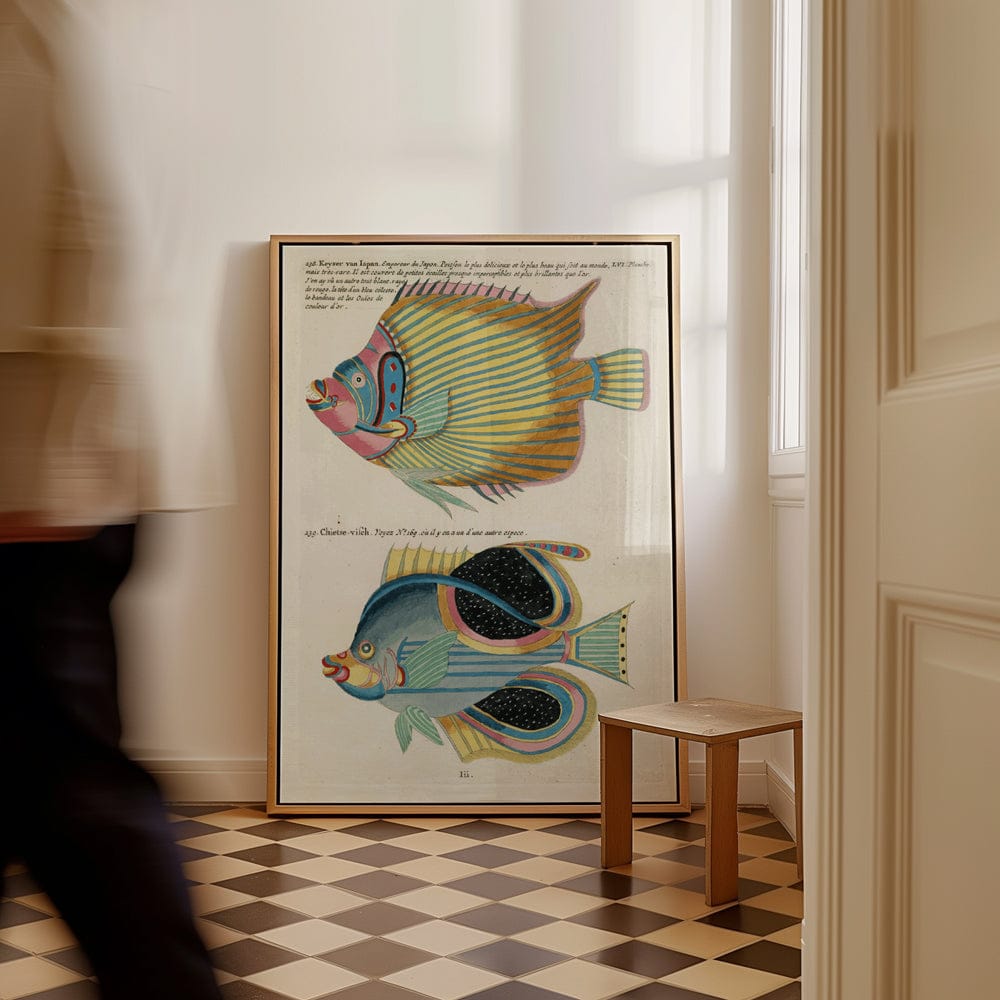 Poissons, Ecrevisses Et Crabes, De Diverses Couleurs Et Figures Extraordinaires Pl XCIX