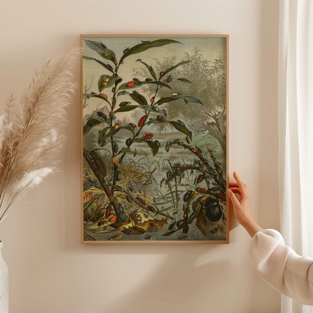 Die Insekten, Tausendfüssler Und Spinnen PI II (1877)
