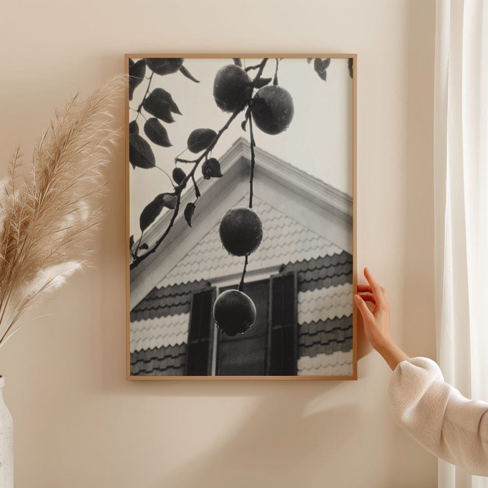 Alfred Stieglitz: "Gable and Apples" (1922)