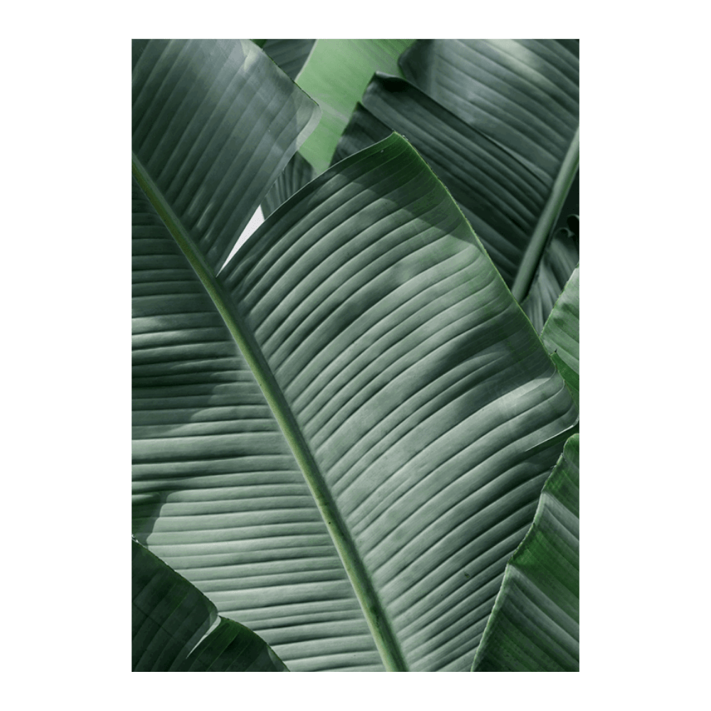 Natal