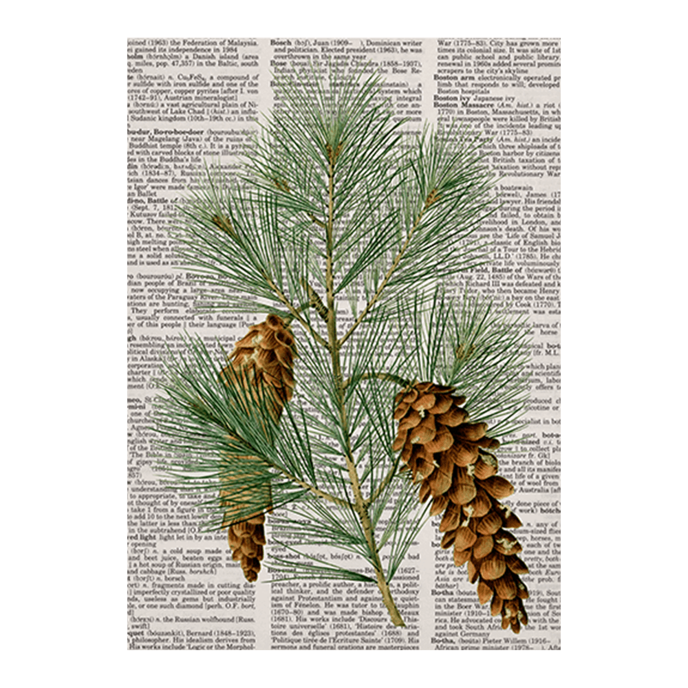 Newspaper Pinecone