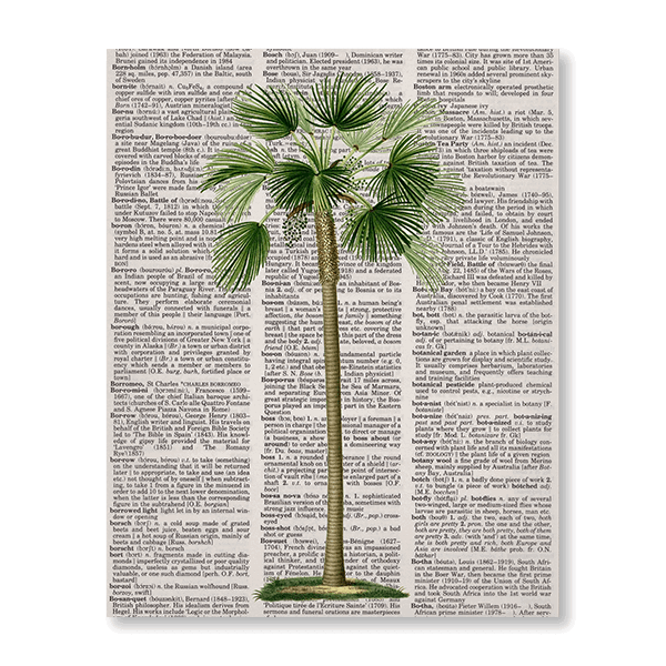 Newspaper Palm Tree - Jasper & Jute