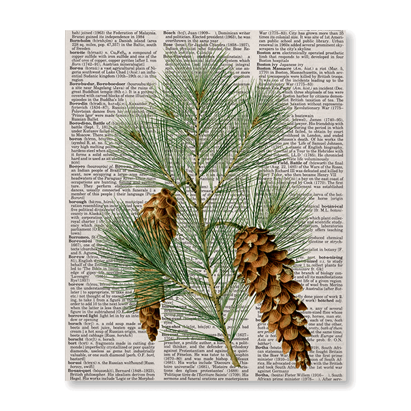 Newspaper Pinecone - Jasper & Jute