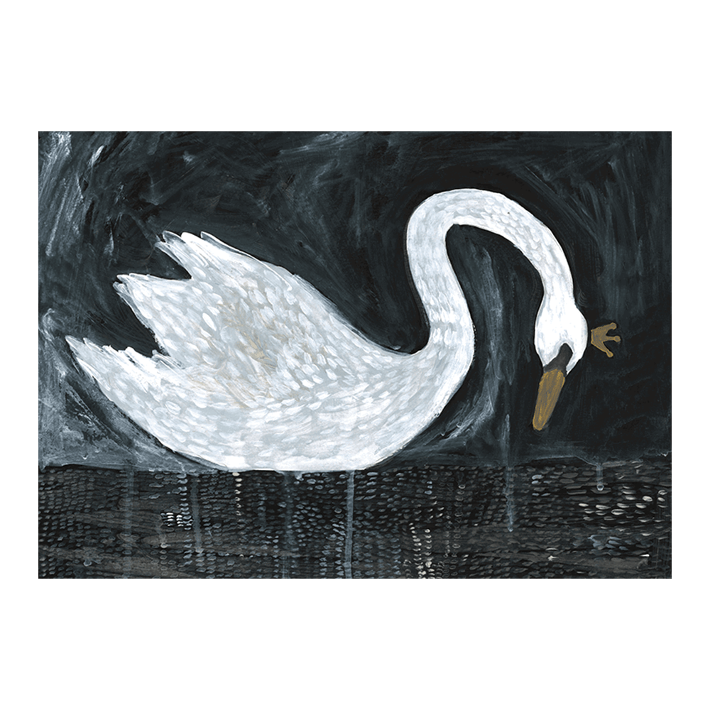 Night Swan