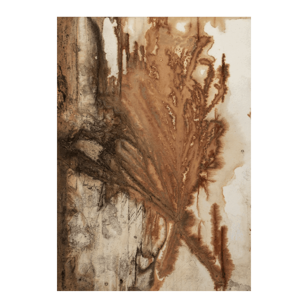 Ocean Botany