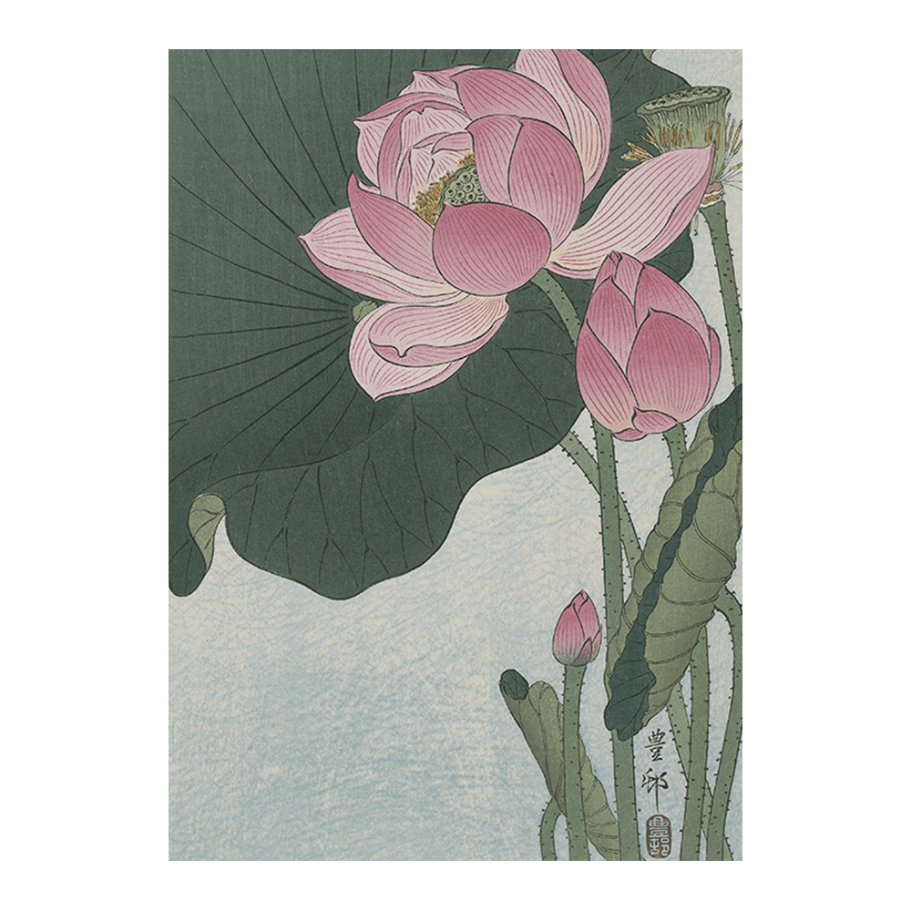 Ohara Koson: "Blooming Lotus Flowers"