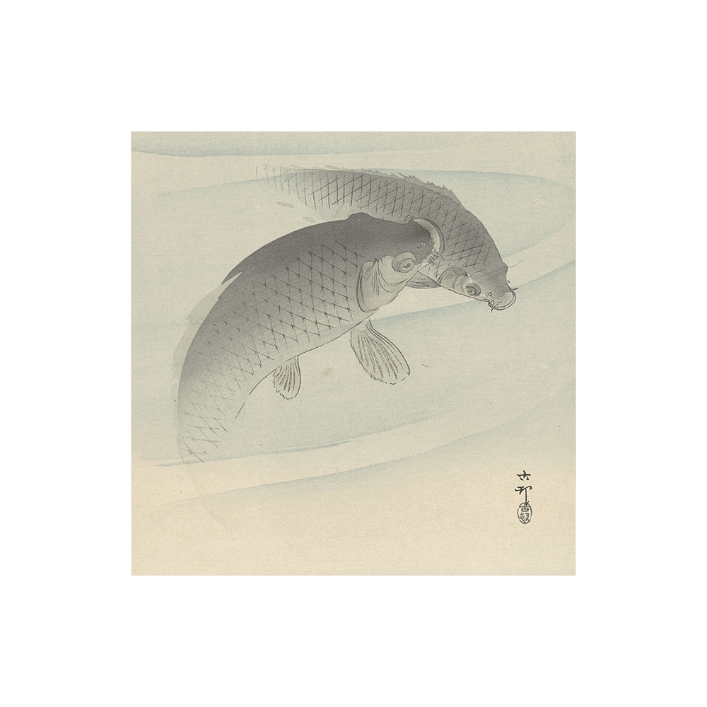 Ohara Koson: "Two Carps"