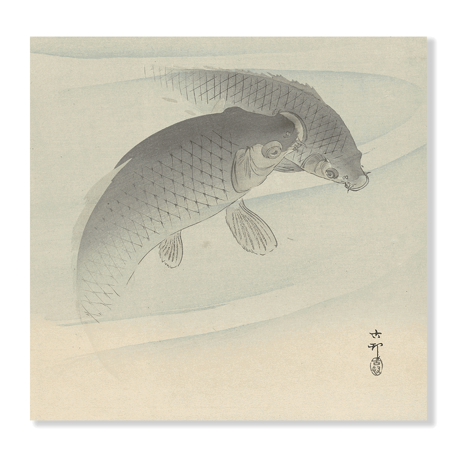 Ohara Koson: "Two Carps" - Jasper & Jute