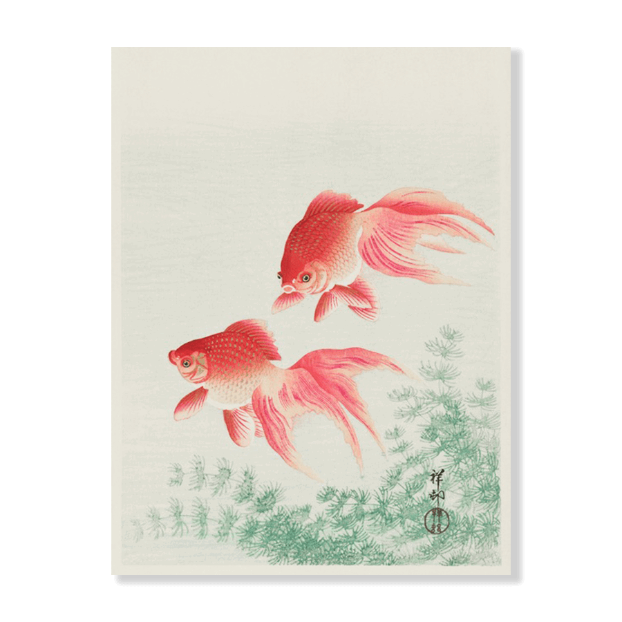 Ohara Koson: "Two Veil Goldfish" (1926) - Jasper & Jute