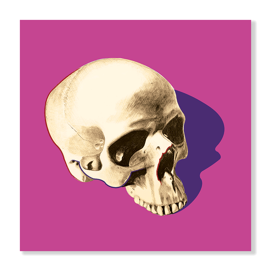 POP SKULL IV - Jasper & Jute