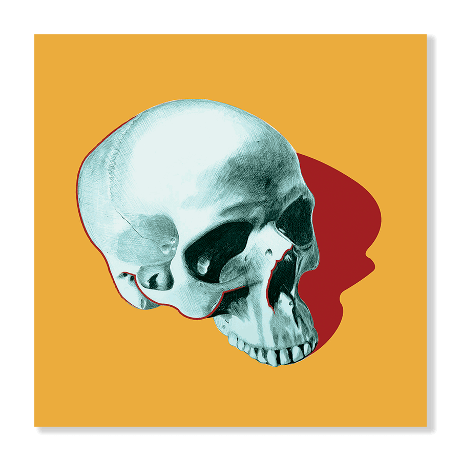 POP SKULL I - Jasper & Jute