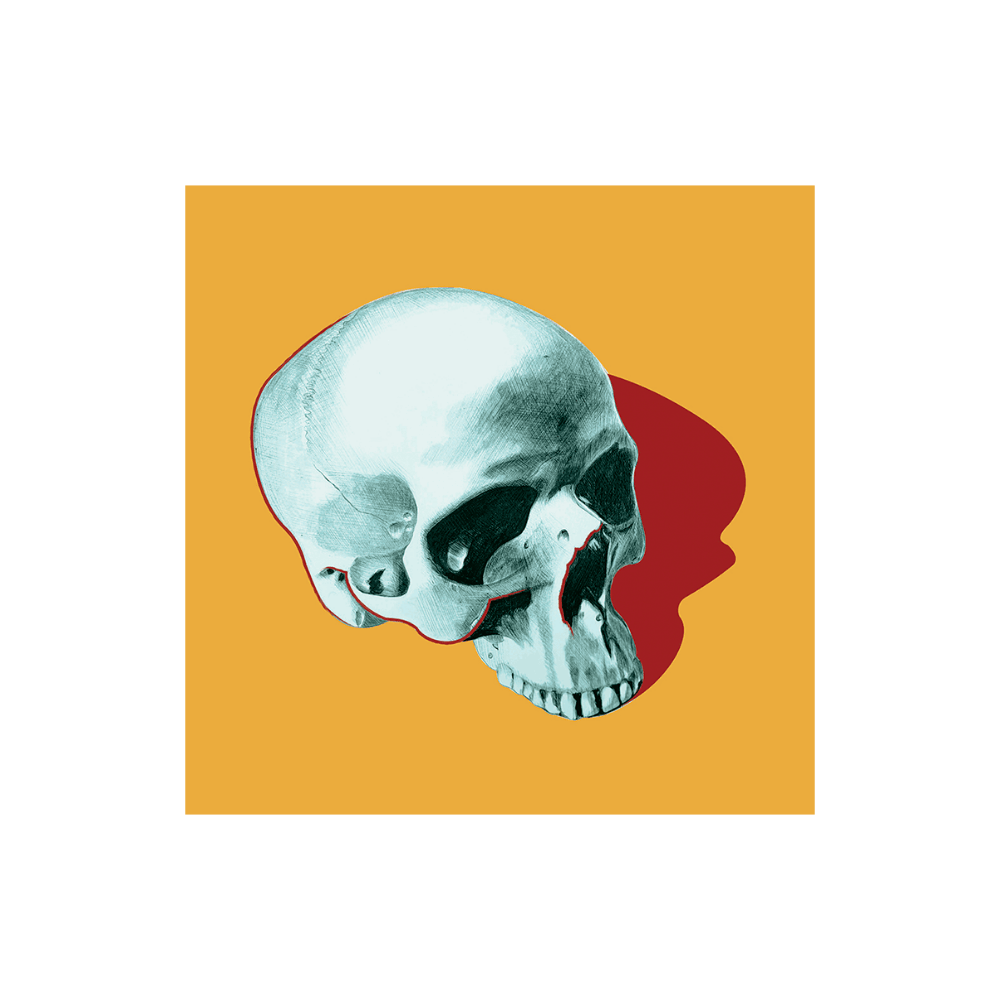 POP SKULL I
