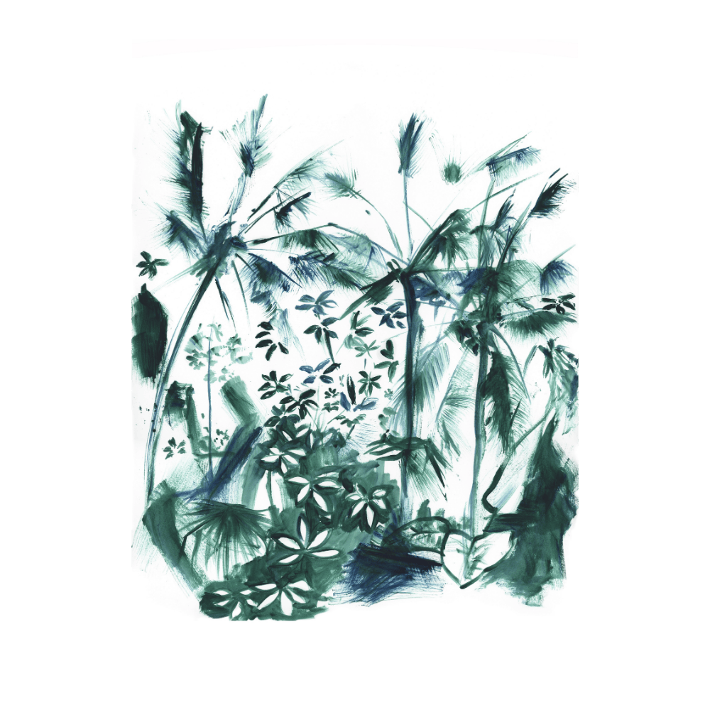Palm Studies II