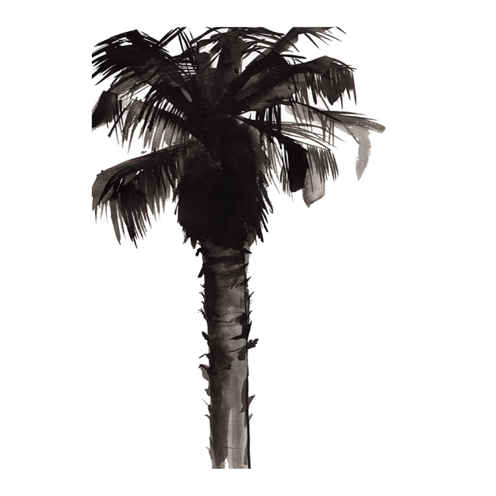 Palm