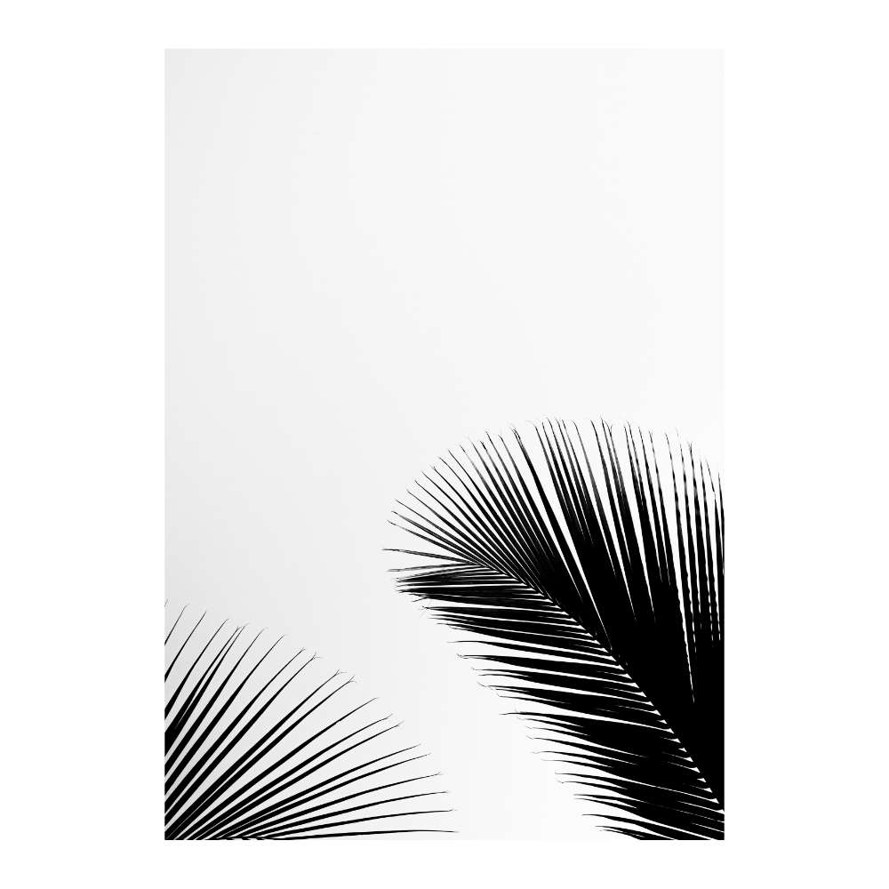 Palm Leaves I