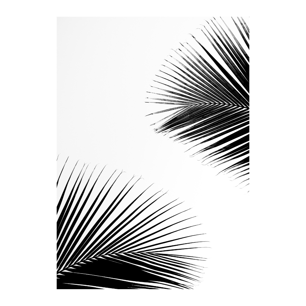 Palm Leaves II