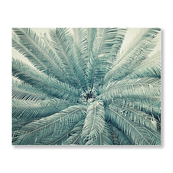 Palm Tree Fan - Jasper & Jute