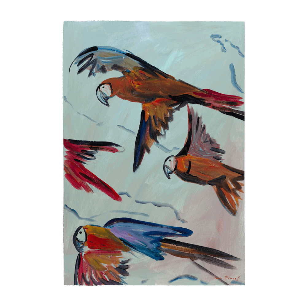 Parrots In Flight