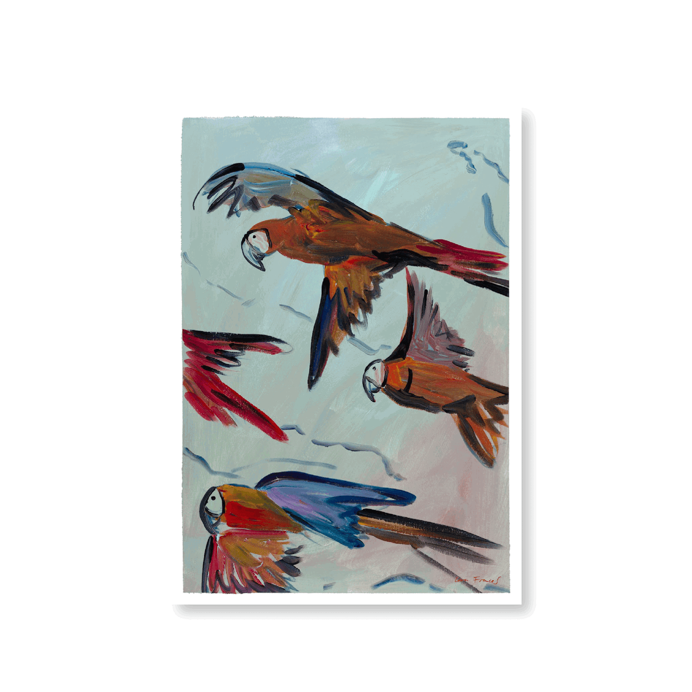 Parrots In Flight - Jasper & Jute