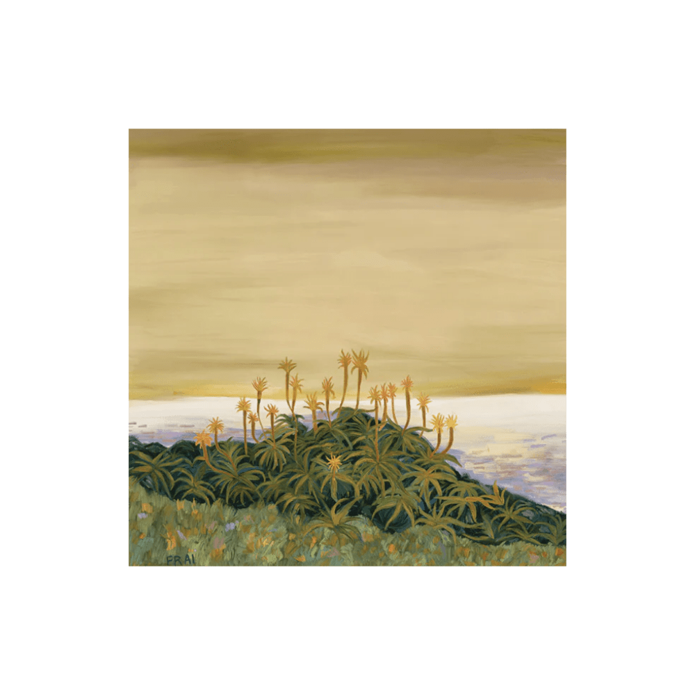 ‍Admirable Aloes (100% off)