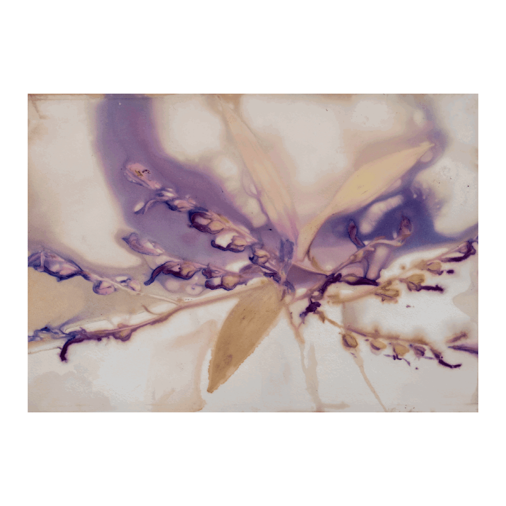 Petal Poetry III