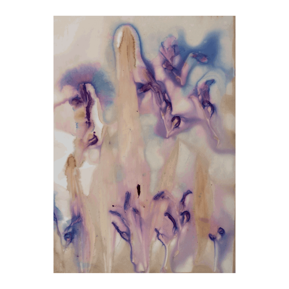 Petal Poetry II