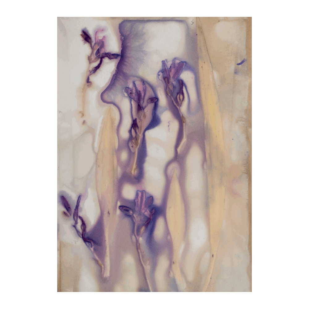 Petal Poetry I