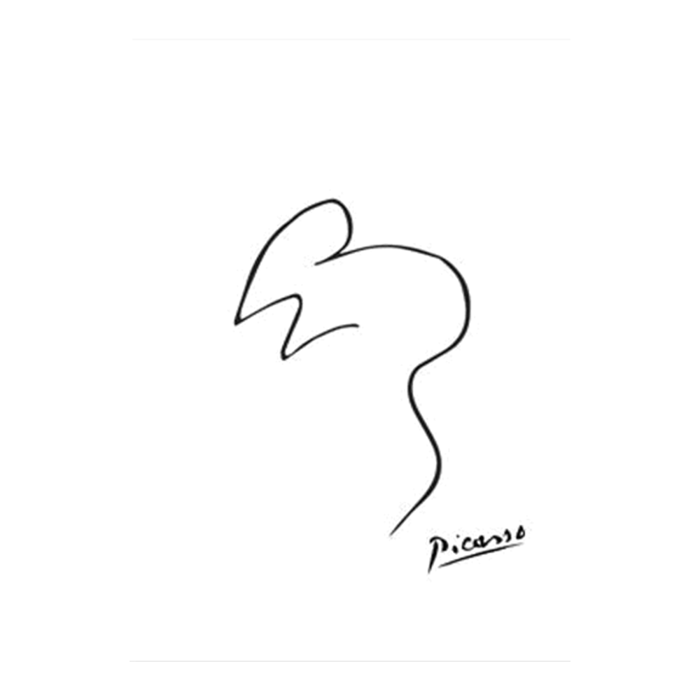 Picasso: Animal Line Drawing Set X