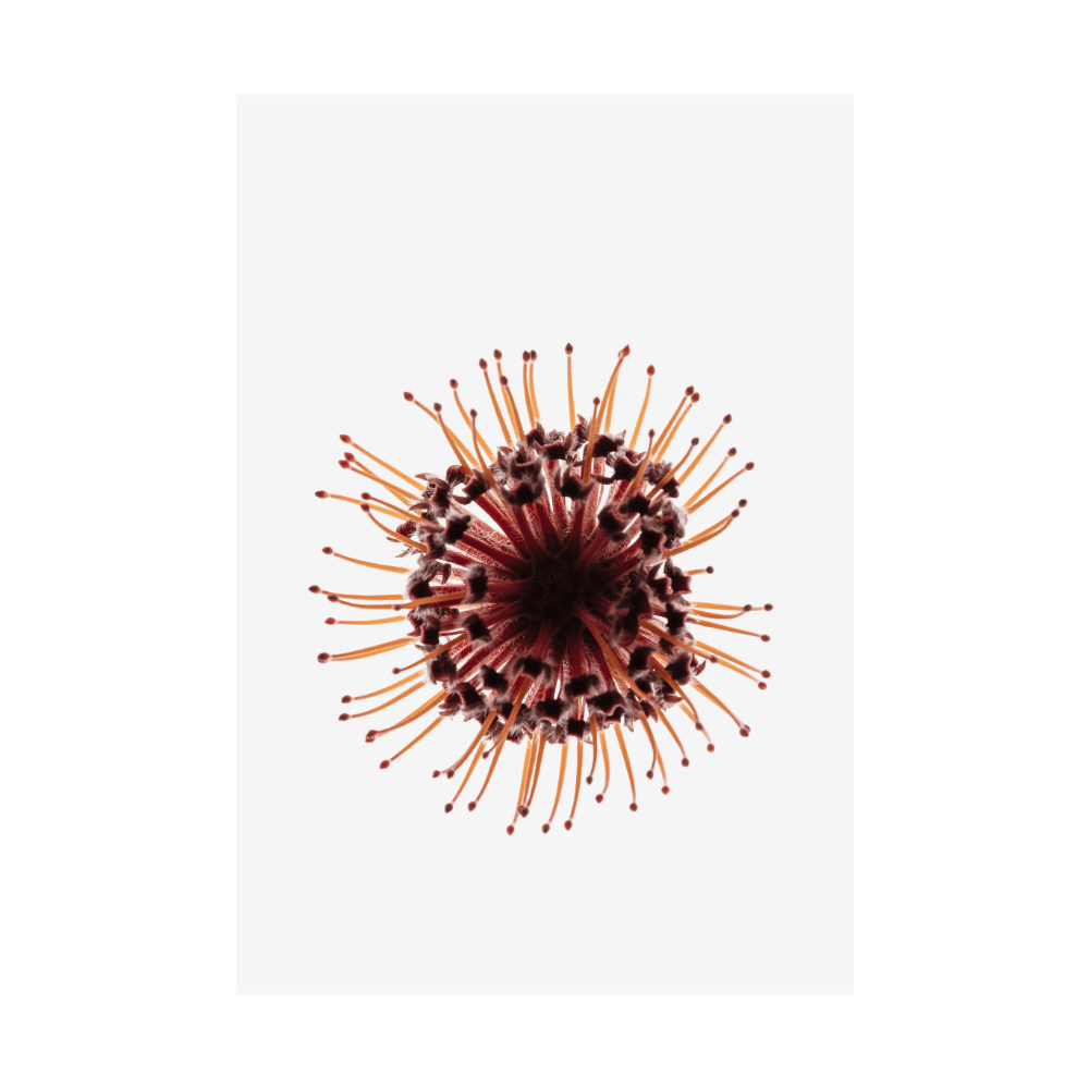 Pin Cushion
