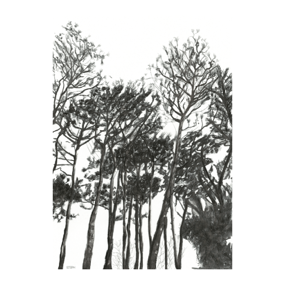Pines