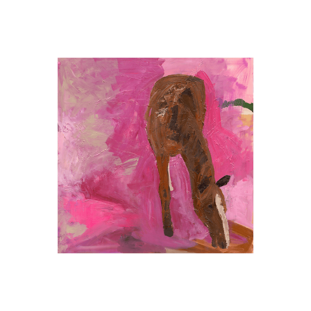 Pink Horse