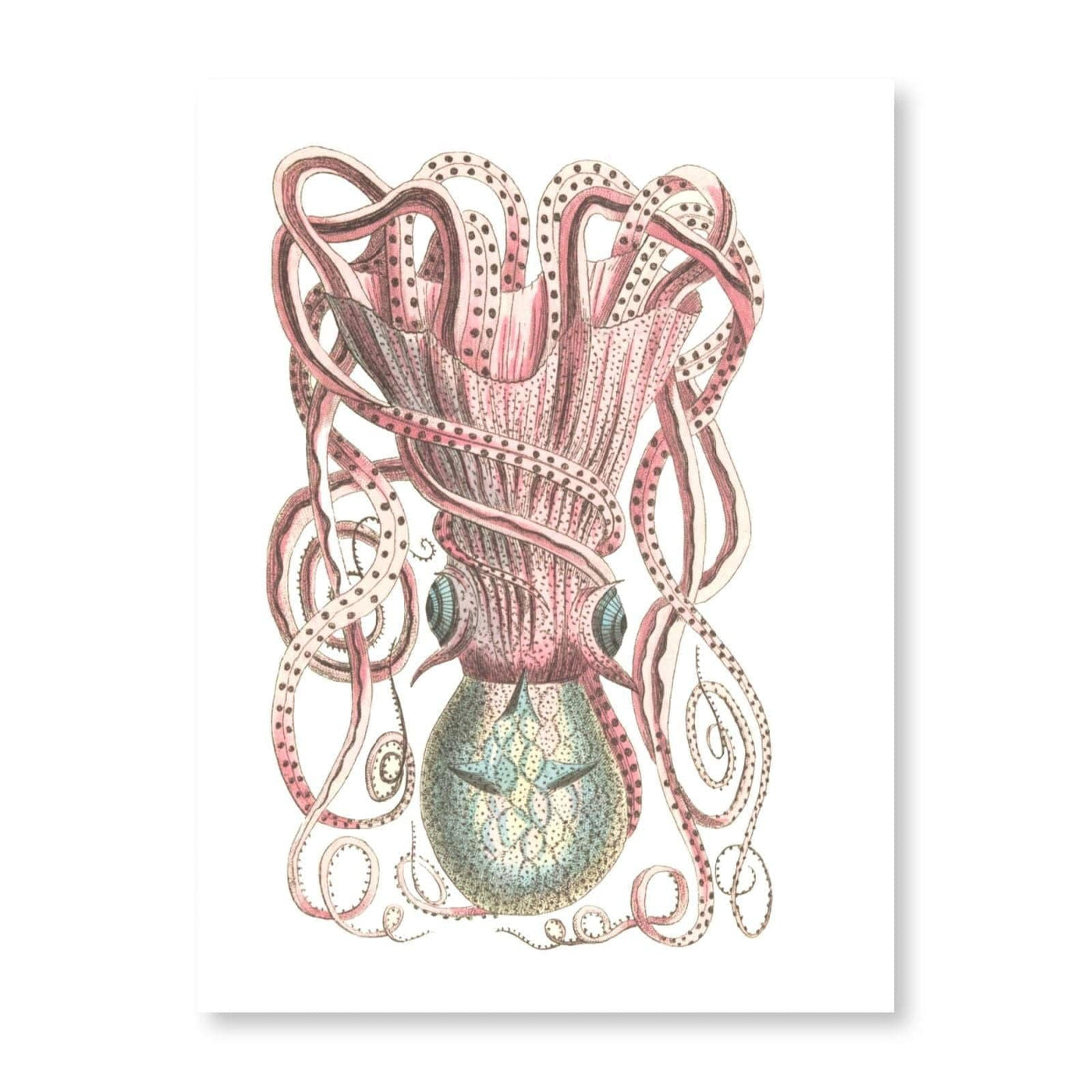 Pink Octopus Watercolour - Jasper & Jute