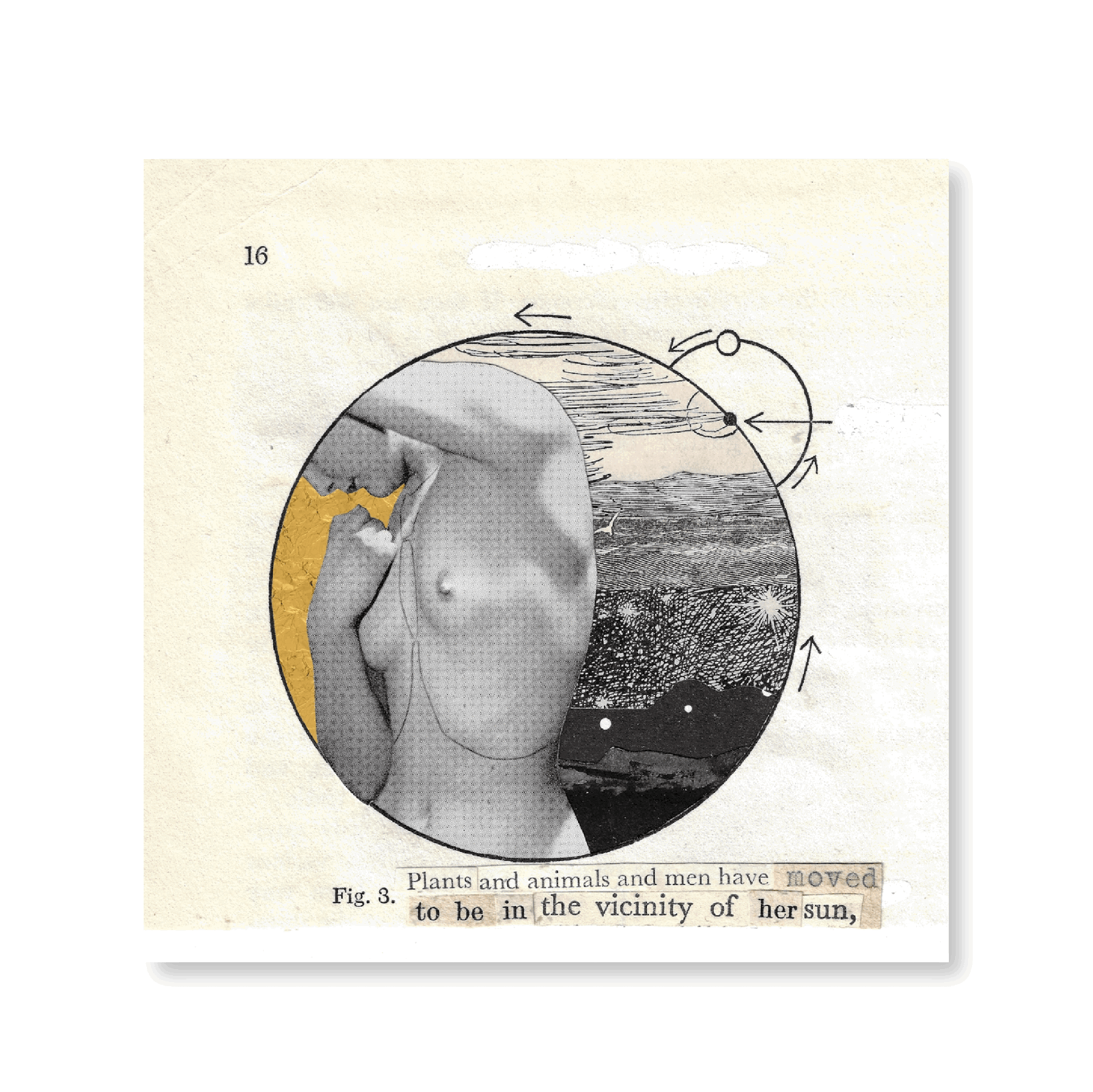 Plants And Animals And Men Have Moved - Jasper & Jute