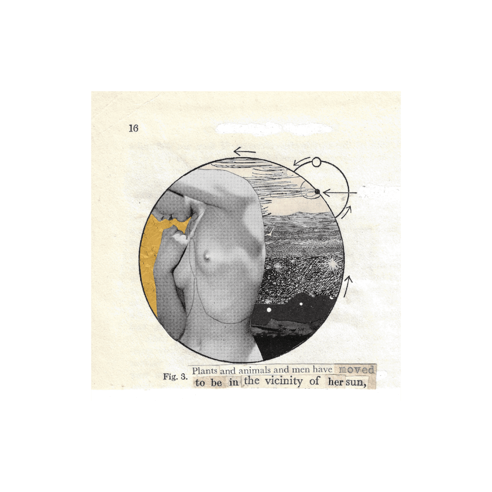 ‍Plants And Animals And Men Have Moved (100% off)
