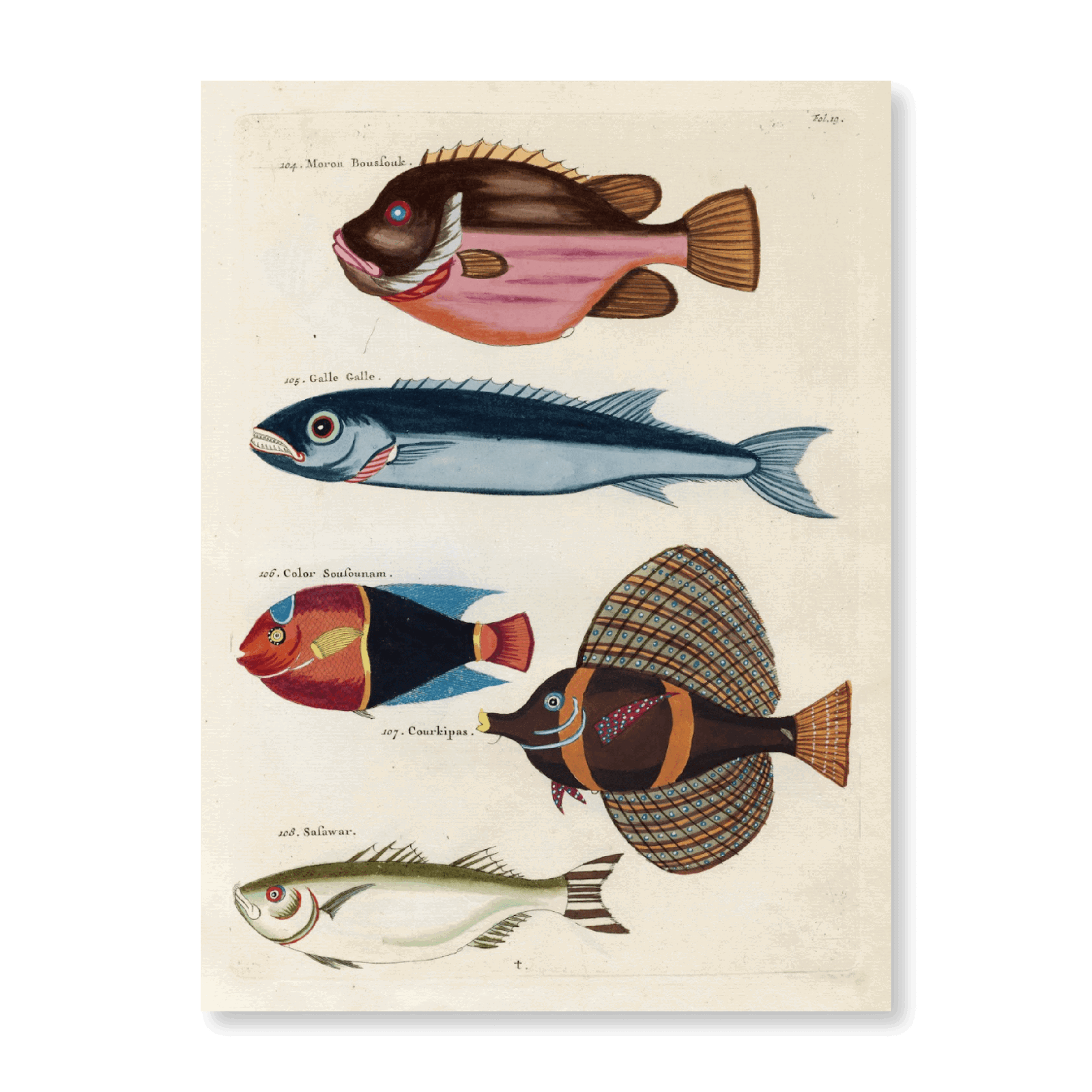 Poissons, Ecrevisses Et Crabes, De Diverses Couleurs Et Figures Extraordinaires PI XIX - Jasper & Jute