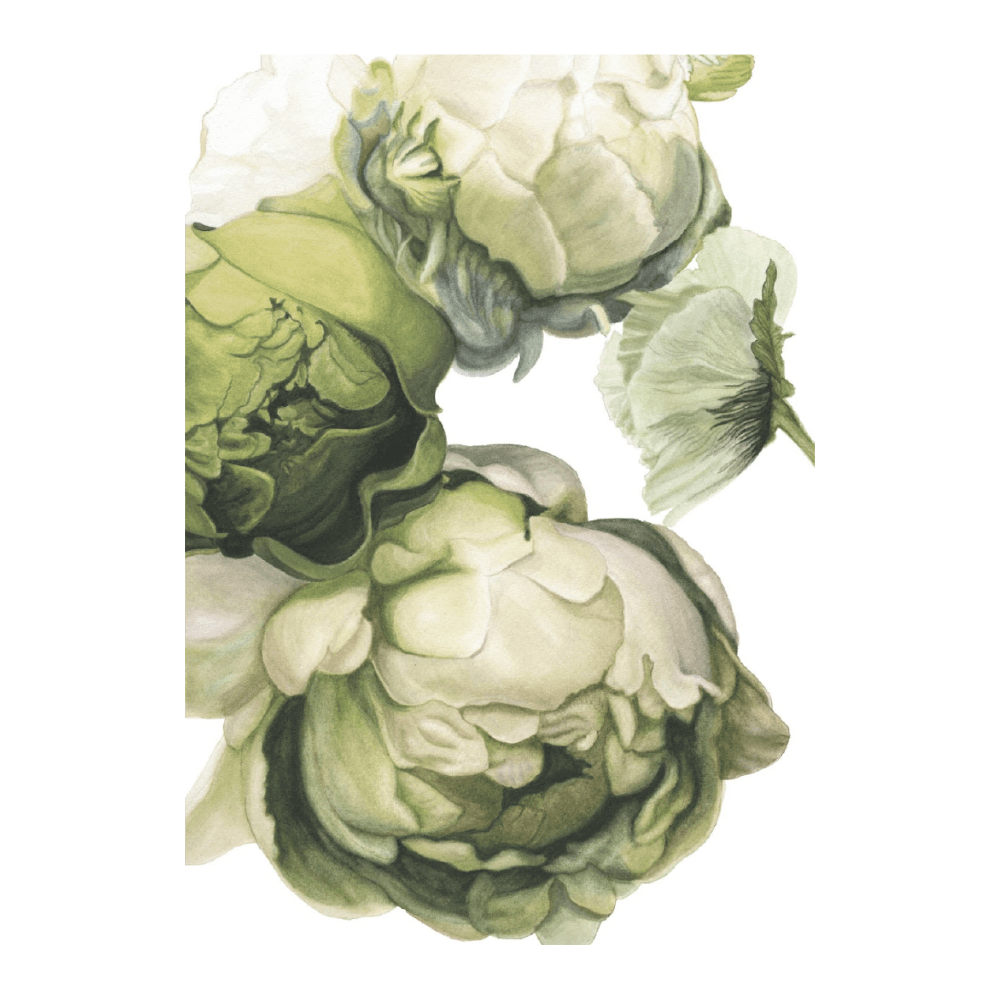 Poppy & Peony Olive and Linen White II