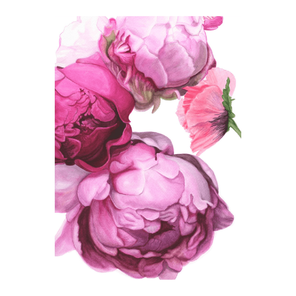 Poppy & Peony Pink  II