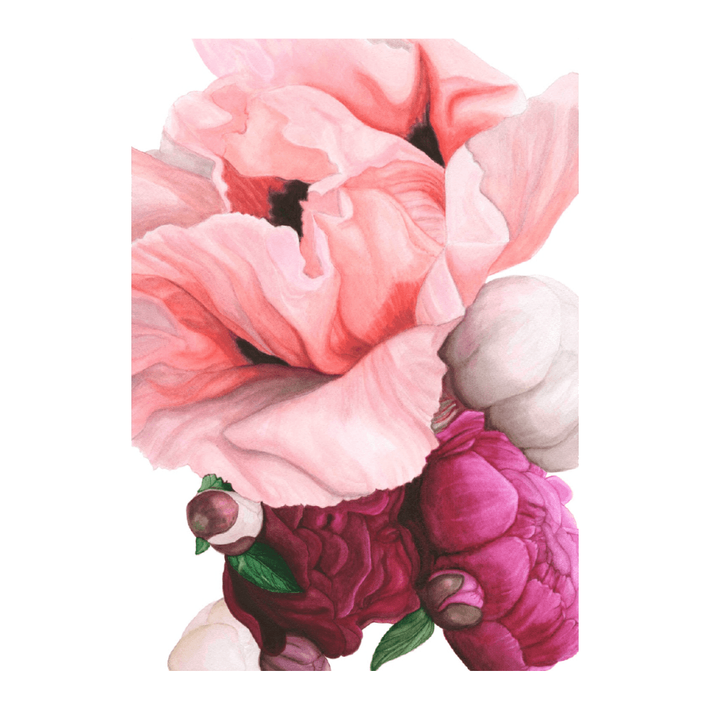 Poppy & Peony Pink  I